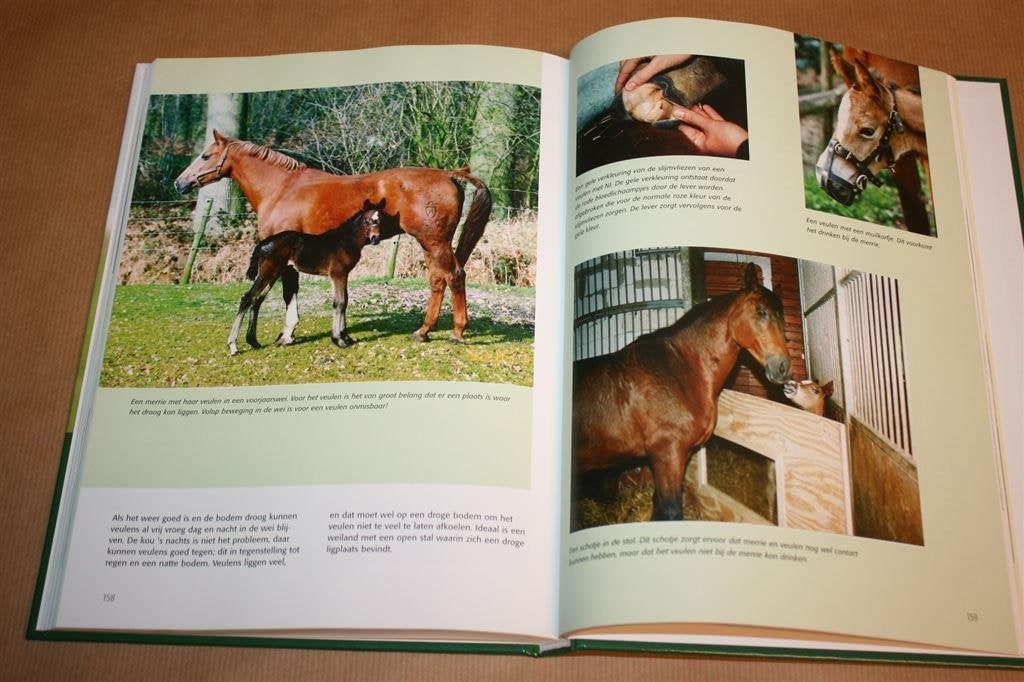 Paardenfokkerij. Dekken, dracht, geboorte, het veulen., Ophalen of Verzenden, Zo goed als nieuw, Katten