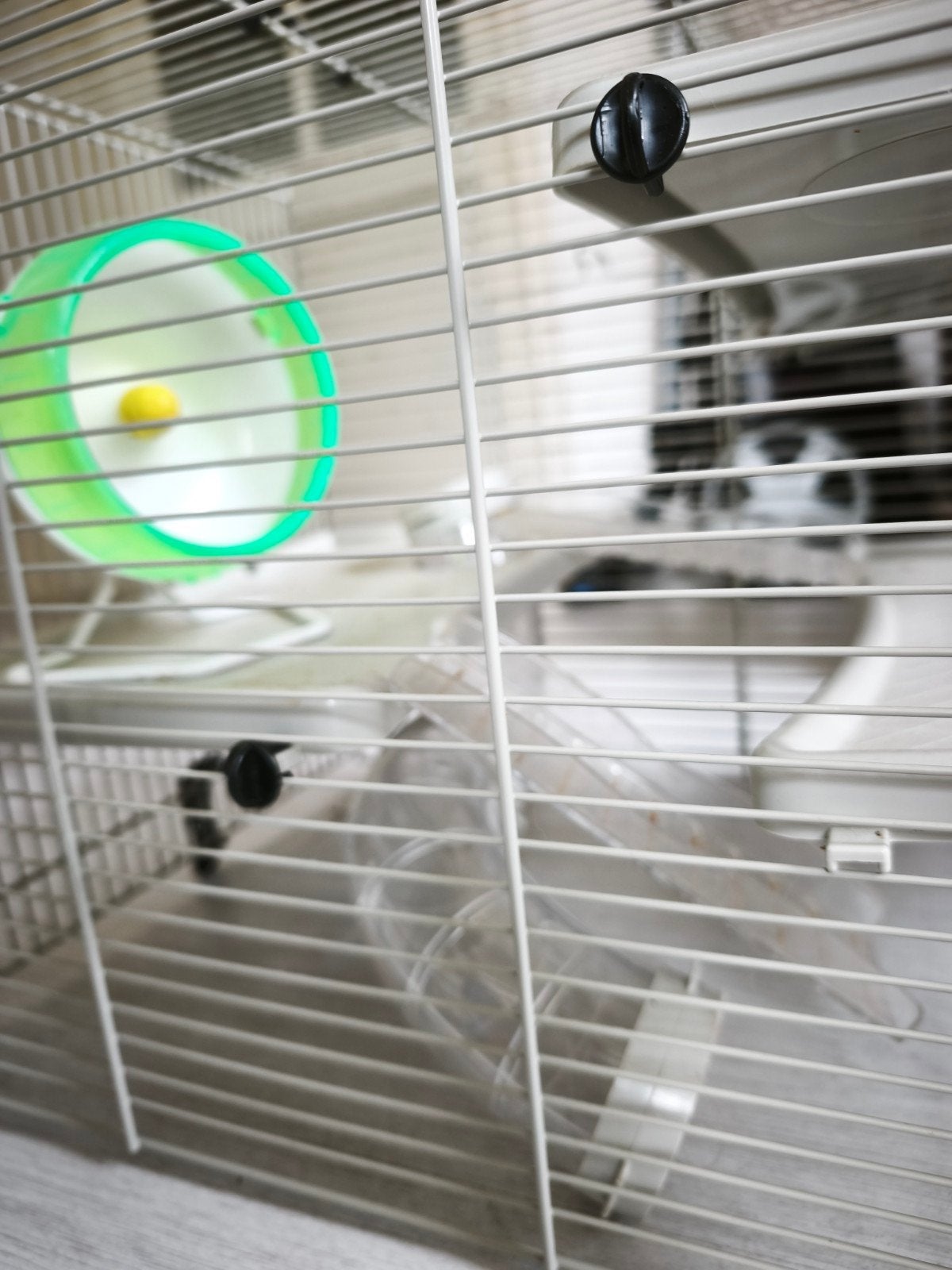 Hamster, Caviakooi met alles erbij, Dieren en Toebehoren, Kooi, Minder dan 75 cm, Hamster, Ophalen
