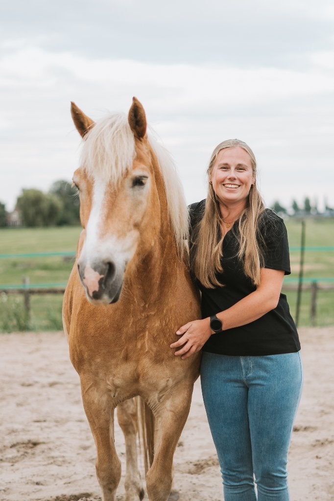 Natural Horsemanship lessen Grondwerk & Rijden, Paardrijles of Ponykampen