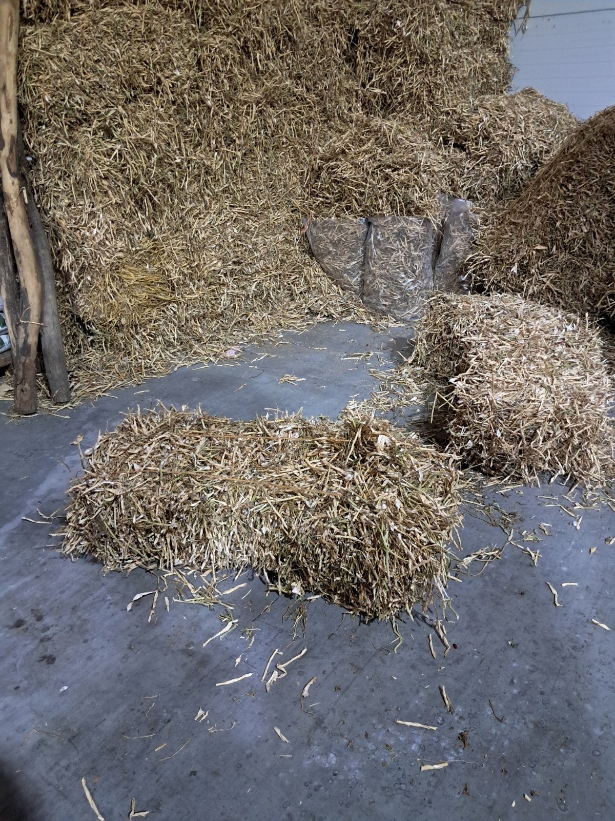 Balen Erwtenstro - Hoogwaardig Voer/Strooisel, Dieren en Toebehoren, Stalling