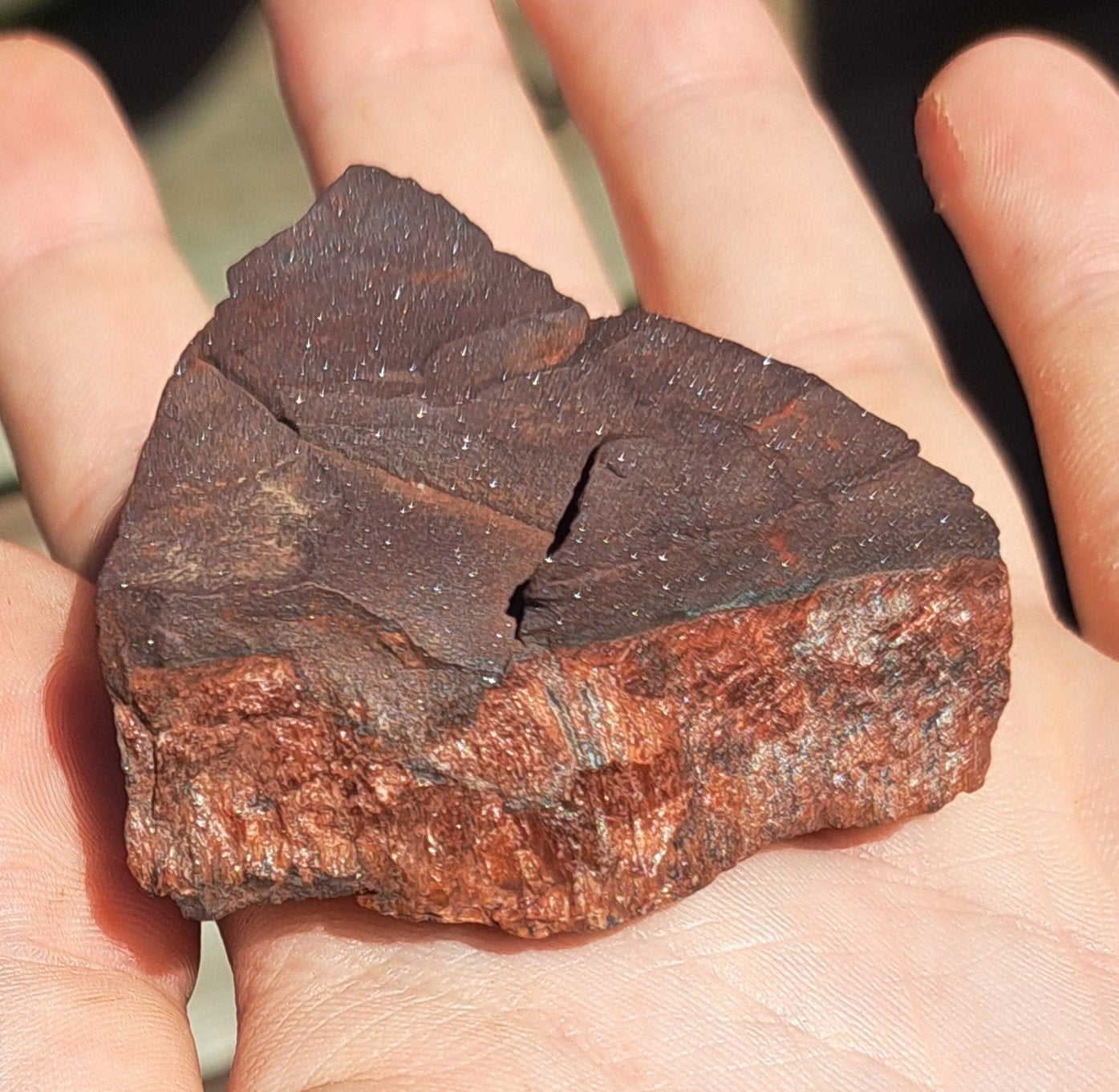 Ruwe Haviksoog edelsteen natuursteen verzameling mineralen, Ophalen of Verzenden