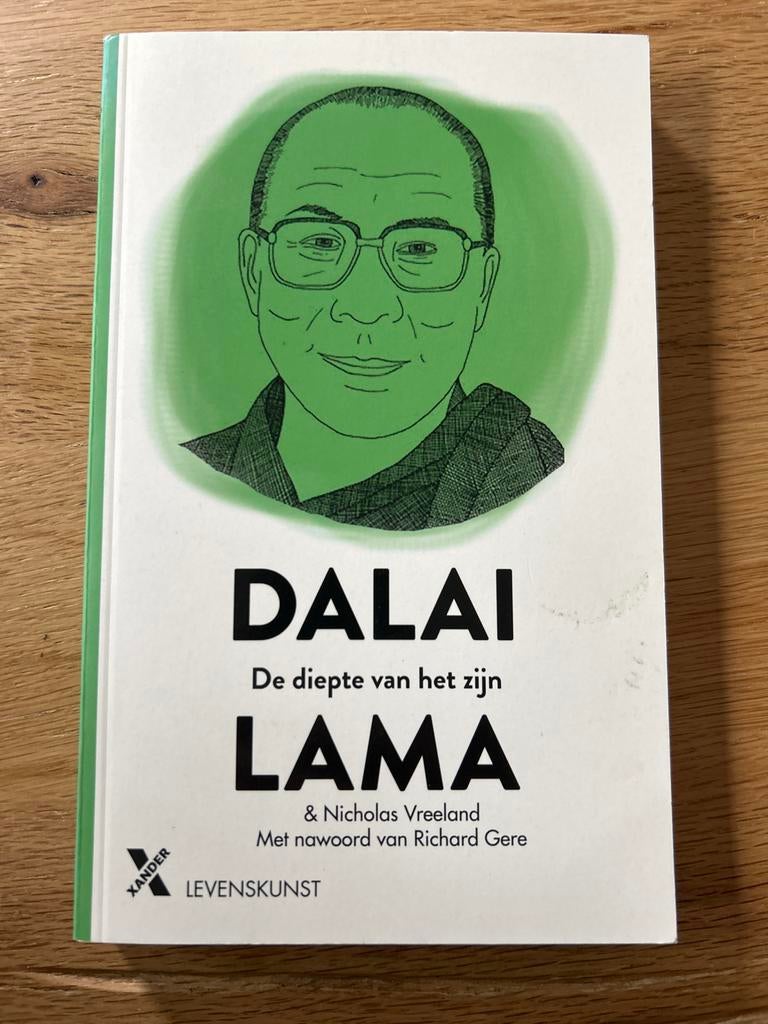Dalai Lama: De diepte van het zijn - Boeddhistische wijsheid, Ophalen of Verzenden, Zo goed als nieuw