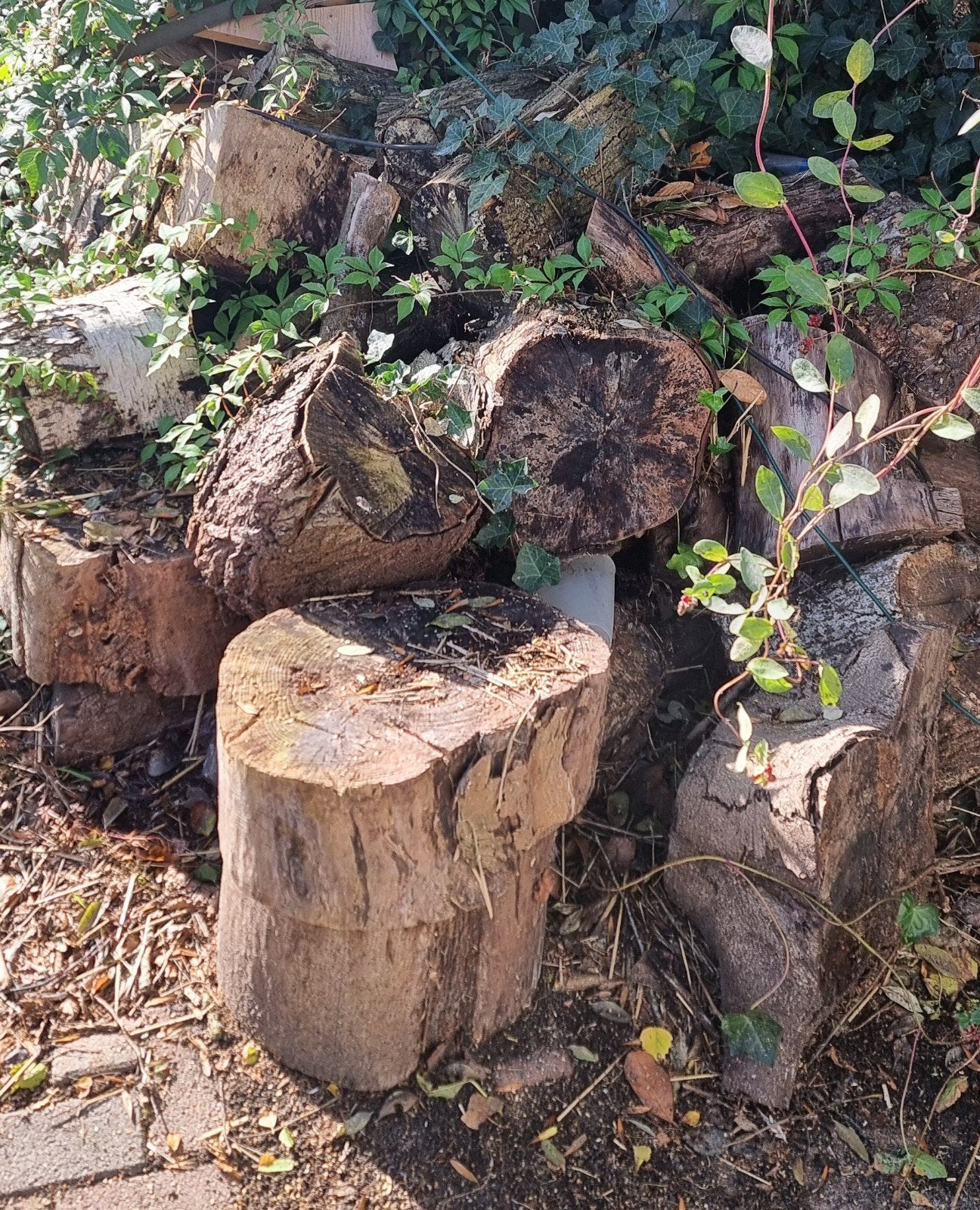 stammen haardhout, Tuin en Terras, Minder dan 3 m³, Ophalen