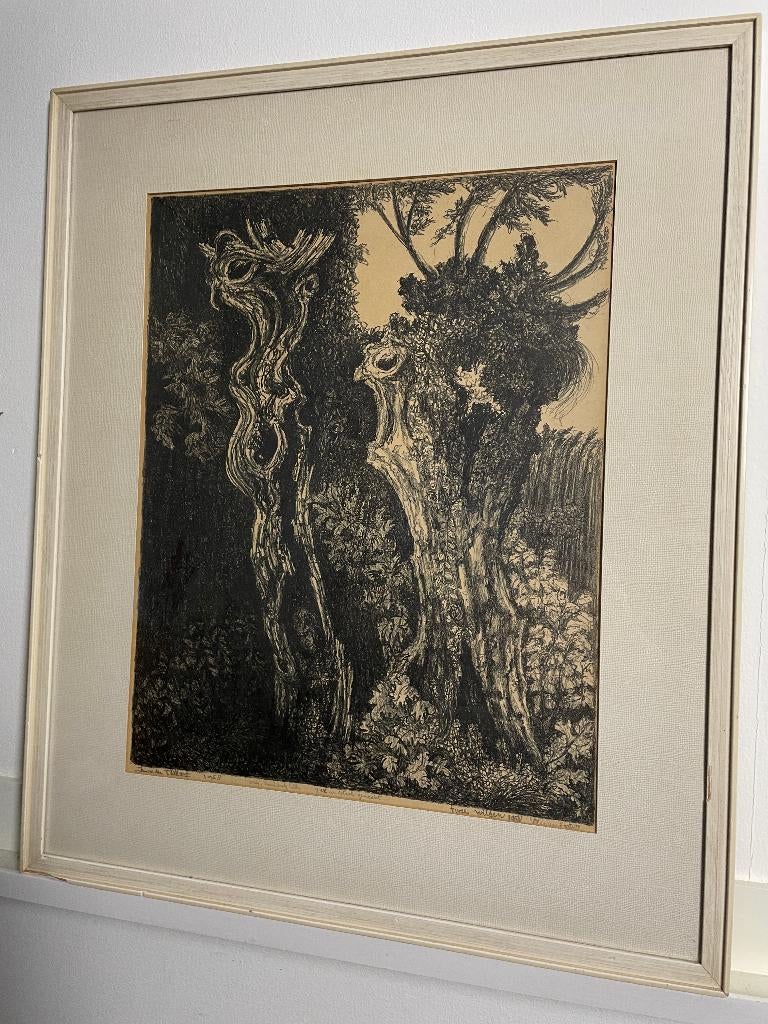 Knotwilgen - originele houtdruk litho - Jan van den Tillart, Antiek en Kunst, Ophalen of Verzenden