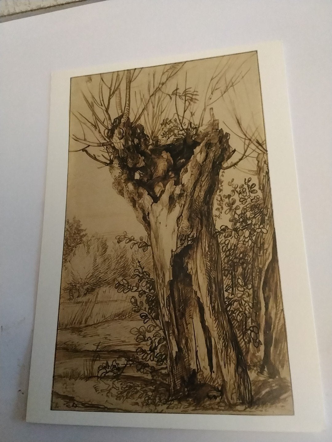 Ansichtkaart Jan Lievens - Vergane Knotwilg (1655-65), Ophalen of Verzenden, 1980 tot heden, Overige thema's