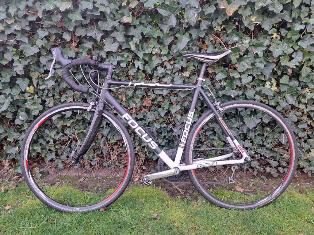 Focus racefiets, Gebruikt, Heren, Aluminium, Meer dan 20 versnellingen