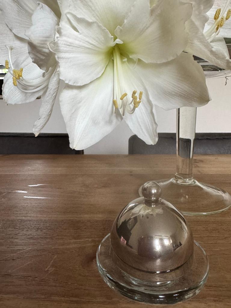 Glazen botervloot met zilverkleurige deksel, Zilver, Ophalen of Verzenden, Overige merken, Glas
