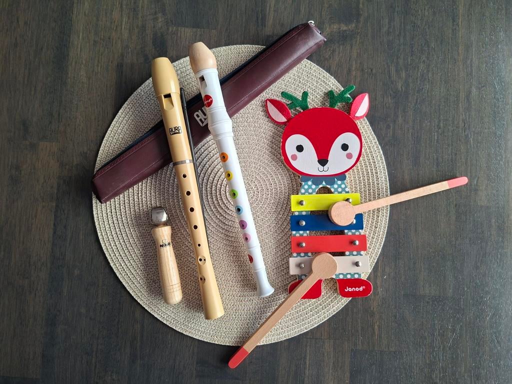 Leuke set muziekinstrumenten kind hout Janod xylofoon vos, Ophalen of Verzenden, Gebruikt