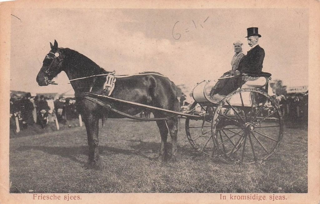 703-079-049 Friesche Sjees in Kromsidige Sjeas, Verzenden, Voor 1920, Friesland