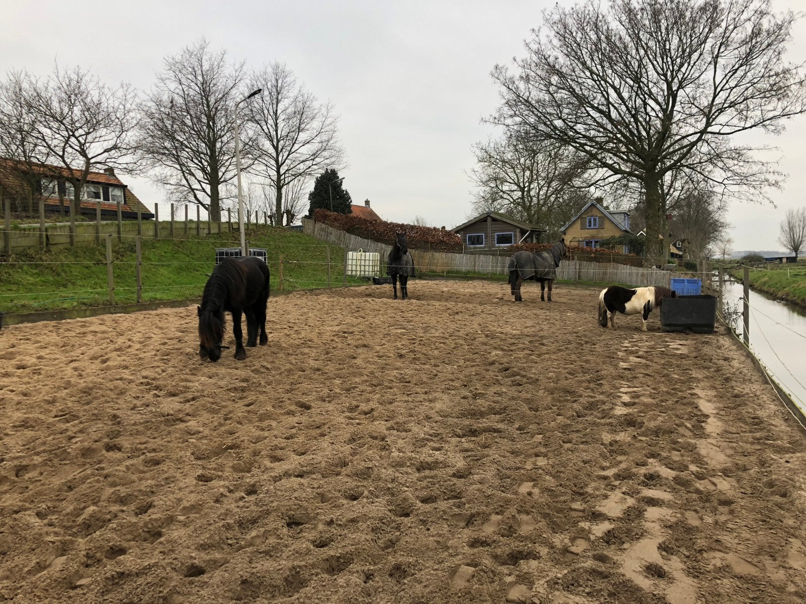 Pensioen stalling aangeboden., Dieren en Toebehoren, Stalling