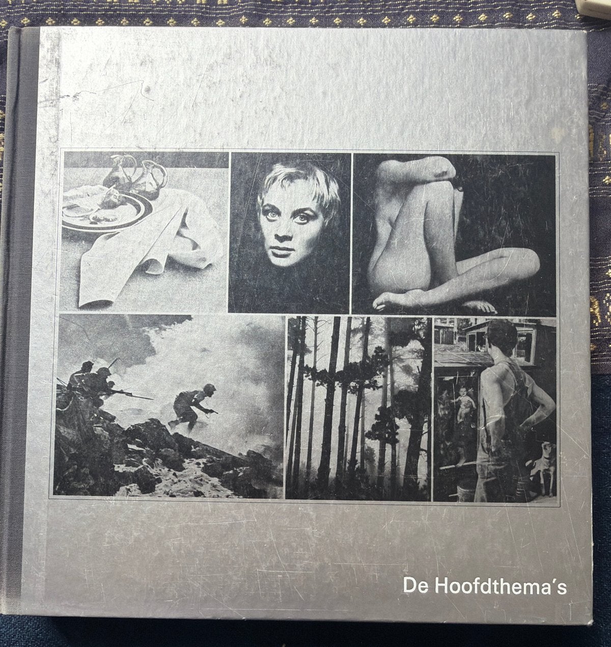 De Hoofdthema's - Fotoboek met diverse onderwerpen, Boeken, Ophalen of Verzenden, Gelezen, Fotografie algemeen