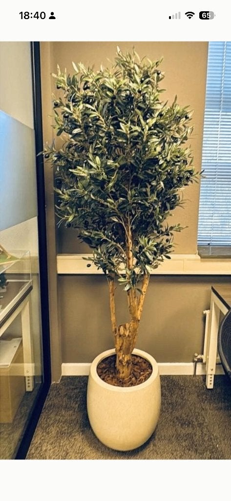 kunstplant olijfboom 180 cm, Groen, Kunstplant, Nieuw, Ophalen
