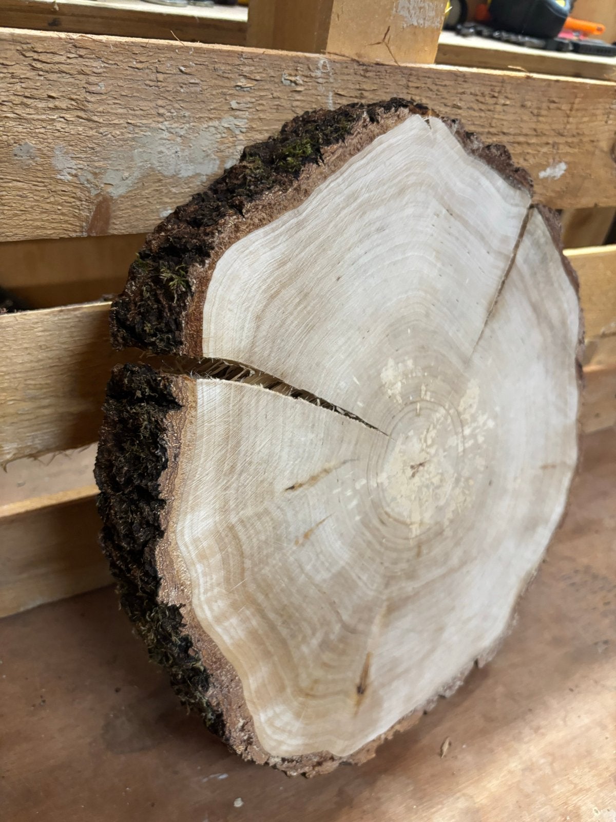 Natuurlijke eiken boomschijf met schors - Ø 30cm, Hout, Nieuw, Ophalen of Verzenden, Landelijk