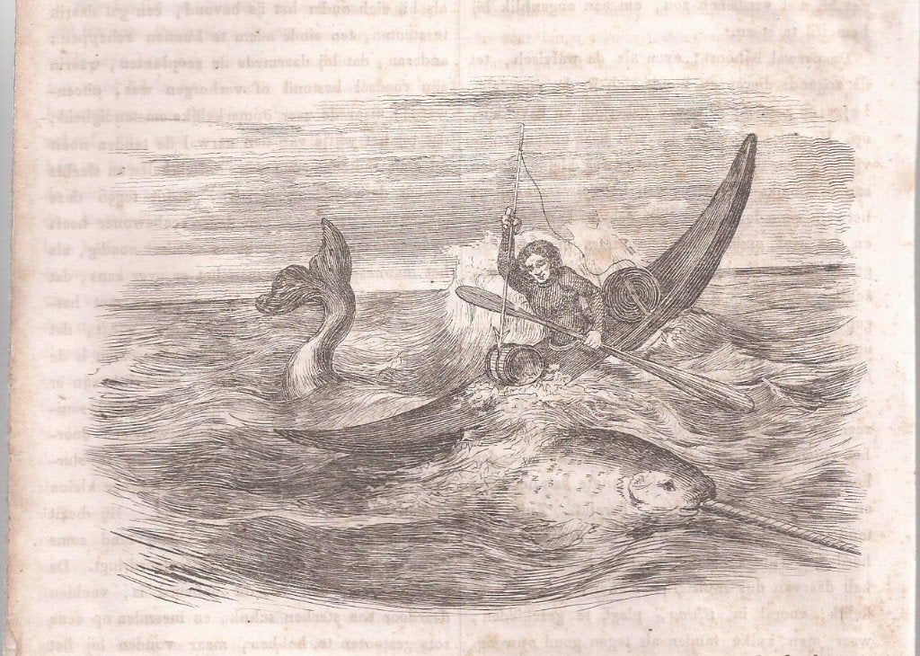 Het gevecht met den Narwal Houtgravure 1839, 1800 - 1899, 9 cm, Ophalen of Verzenden, Gravure