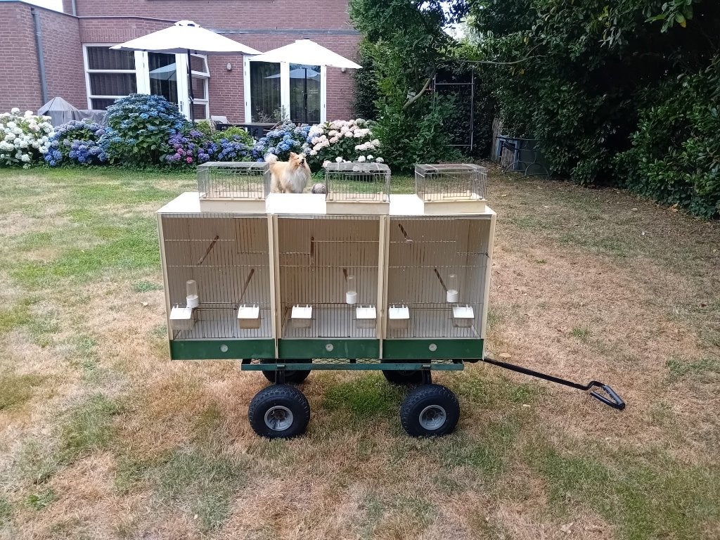 Heesakkers broedkooi kunstof, Dieren en Toebehoren, Ophalen, Gebruikt, Kunststof, Broedkooi of Kweekkooi