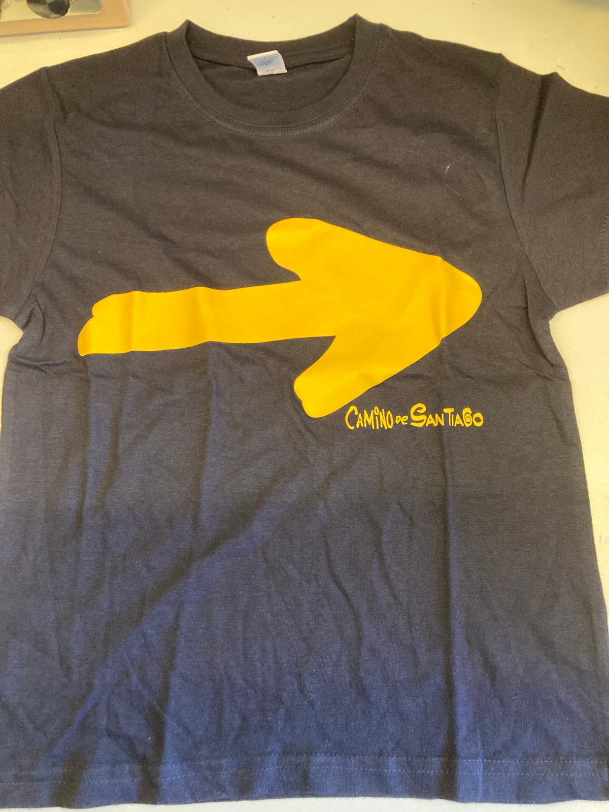 Camino Santiago (roly)tshirt nieuw, Verzenden, Nieuw, Jongen of Meisje