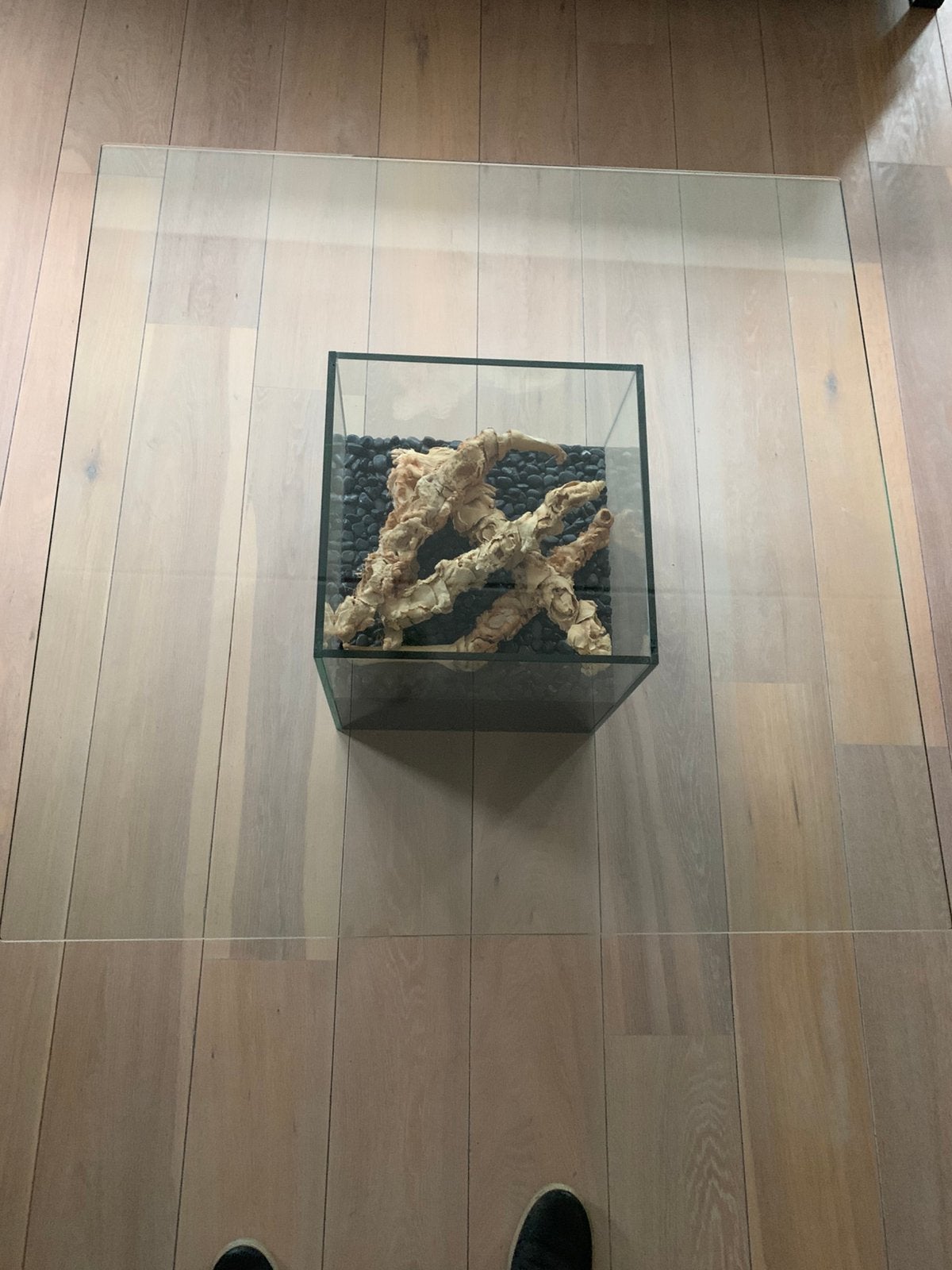 Glazen tafel 41 cm hoog 100x100 (vierkant), Ophalen, Zo goed als nieuw