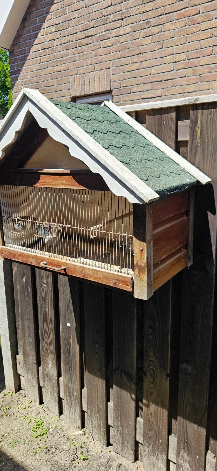 Te koop mooie kooi hij is h 65  b80 inclusief duif, Dieren en Toebehoren, Mannelijk, Kropper