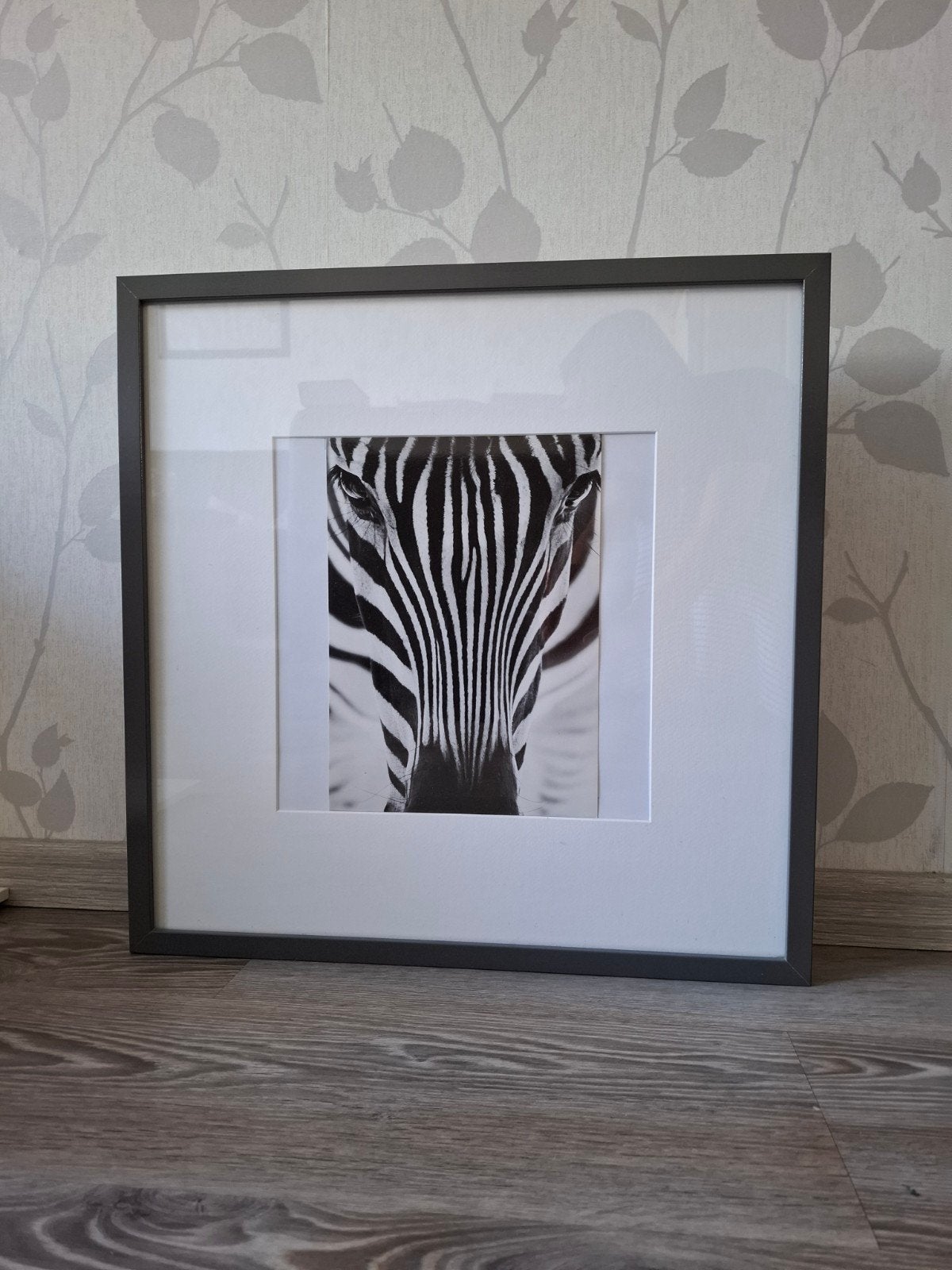 Fotolijsten met passe-partout, Ophalen, Gebruikt, Met ophangsysteem, 53 cm