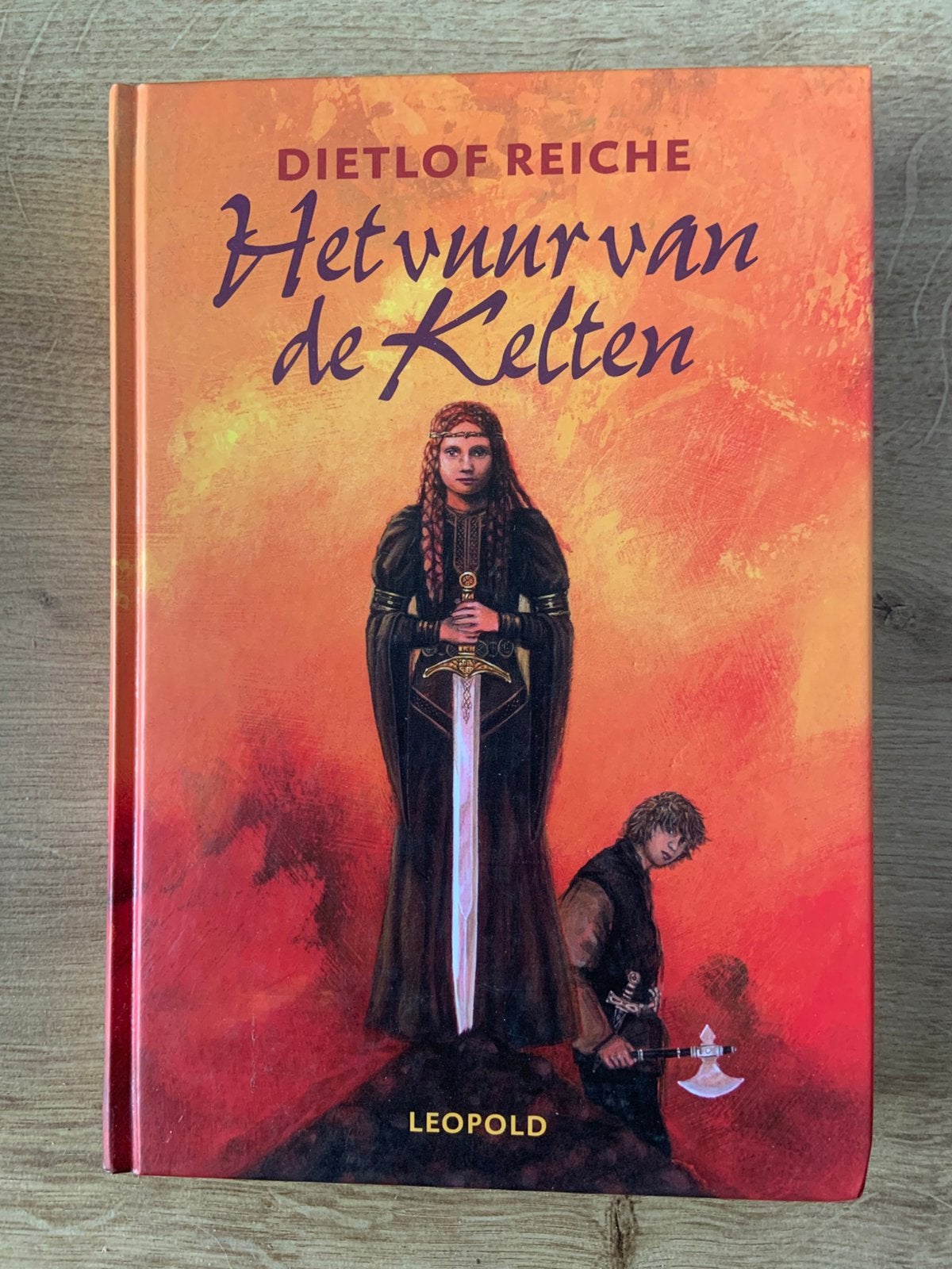 D. Reiche - Het vuur van de Kelten, Ophalen of Verzenden, Zo goed als nieuw, D. Reiche