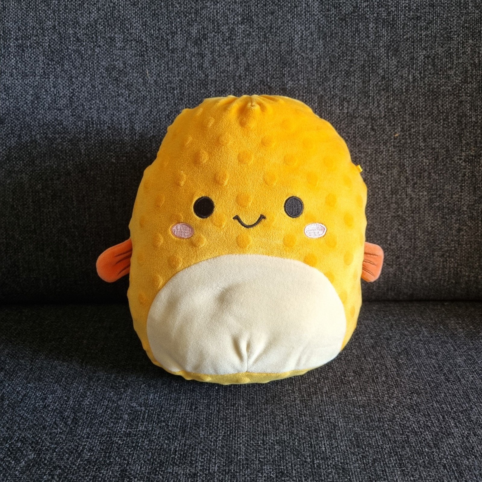 Squishmallows vis sealife squad, Ophalen of Verzenden, Overige typen