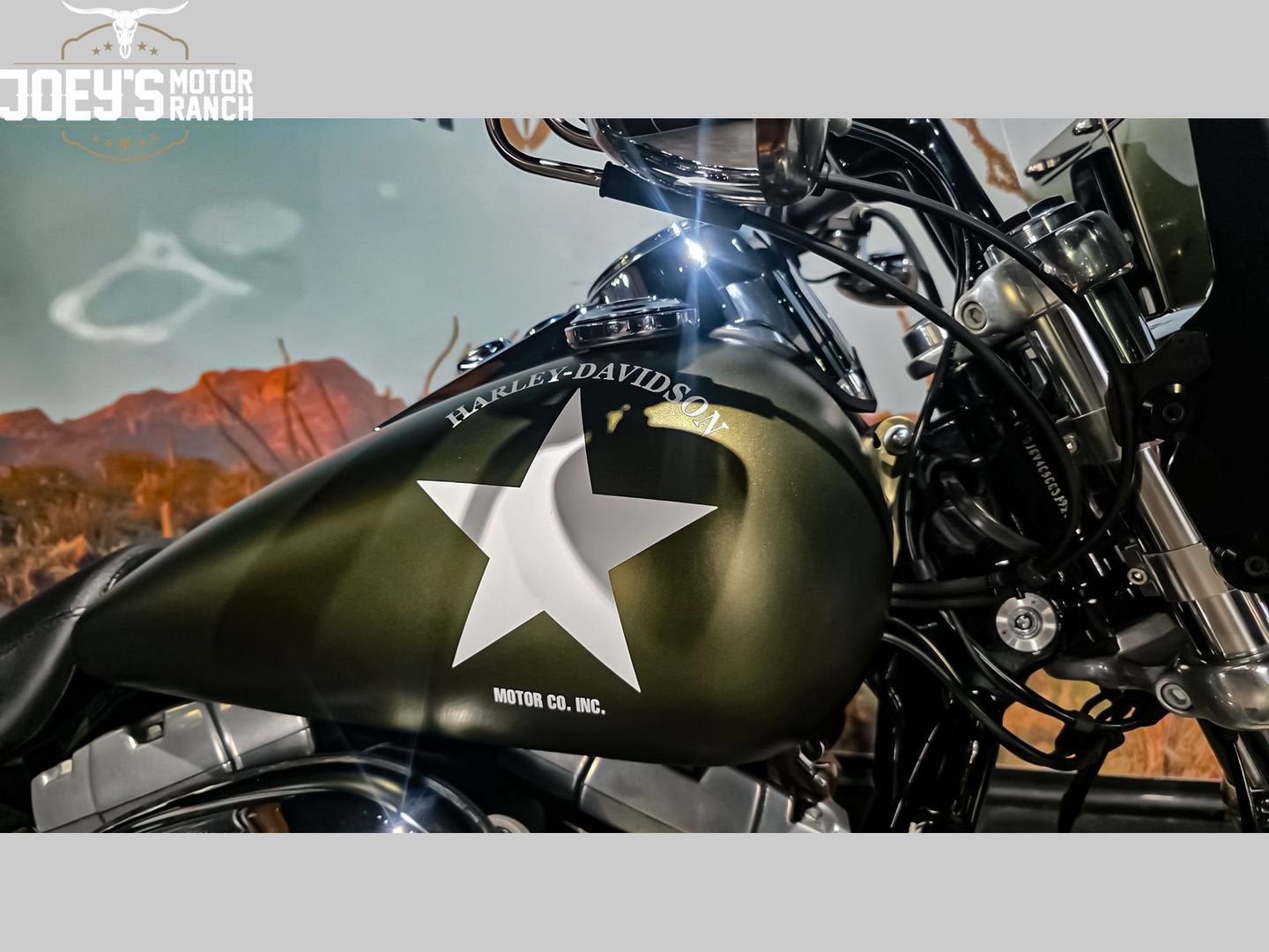 HARLEY-DAVIDSON FAT BOB FXDF (bj 2012), Motoren, Motoren | Harley-Davidson, 2 cilinders, HARLEY-DAVIDSON, Bedrijf, Meer dan 35 kW
