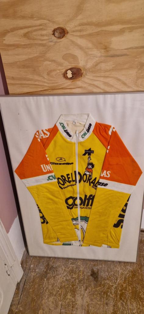 Racefiets gazelle shirts foreldorado frisol, Fietsen en Brommers, Ophalen of Verzenden, Bovenkleding