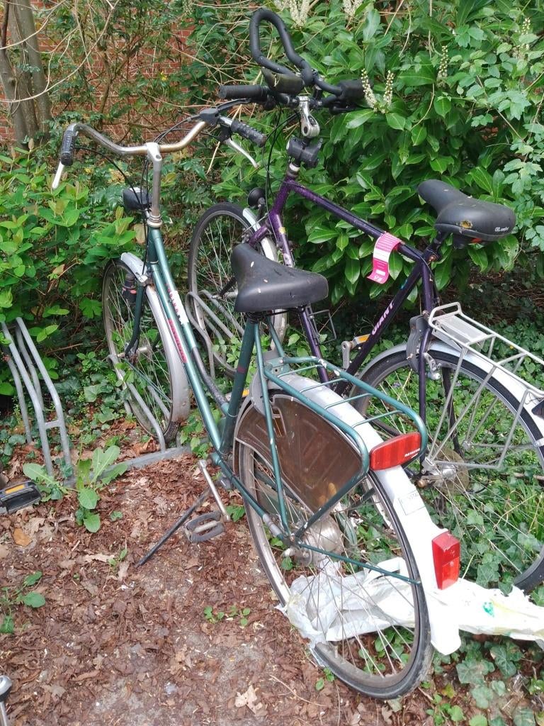 Batavus Torino damesfiets, Ophalen, Gebruikt, 47 tot 50 cm, Versnellingen
