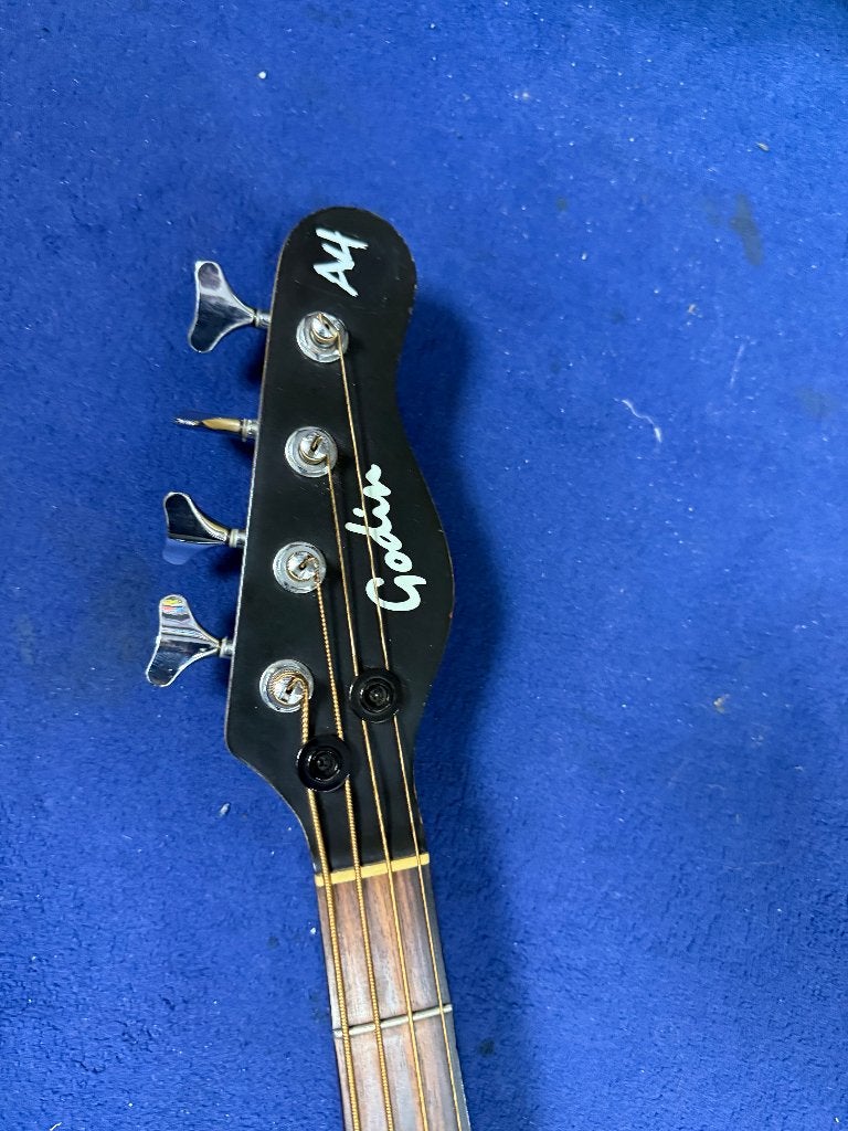 Godin A4 Acoustische basgitaar electrisch incl. koffer, Ophalen, Gebruikt, Semi-akoestisch