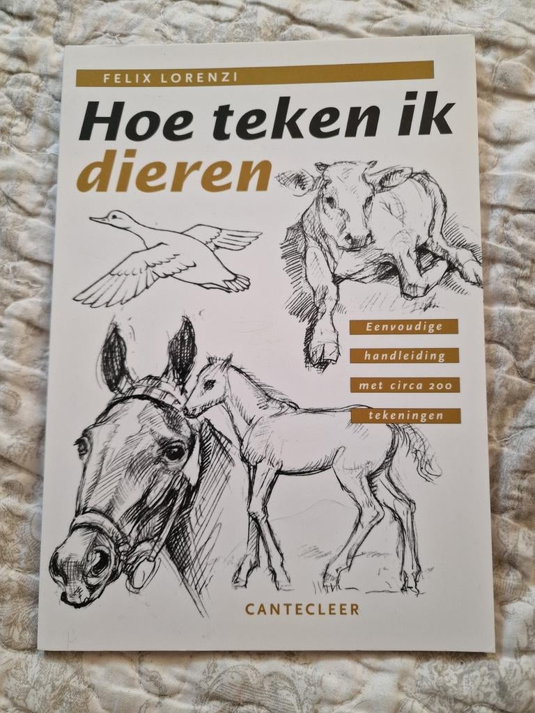 Hoe teken ik dieren / mensen, Ophalen of Verzenden