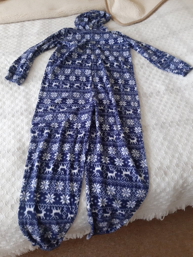 blauw/witte onesie / huispak maat L/XL, Kleding | Dames, Ophalen, Zo goed als nieuw, Maat 46/48 (XL) of groter, Blauw