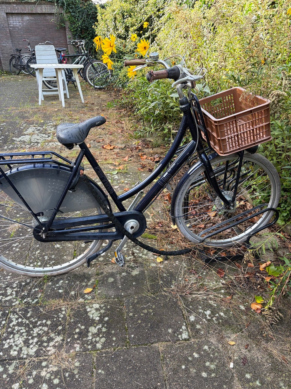 Cortina U4 Transportfiets Dames - Donkerblauw met mand, Ophalen, Terugtraprem, Versnellingen, 53 tot 56 cm