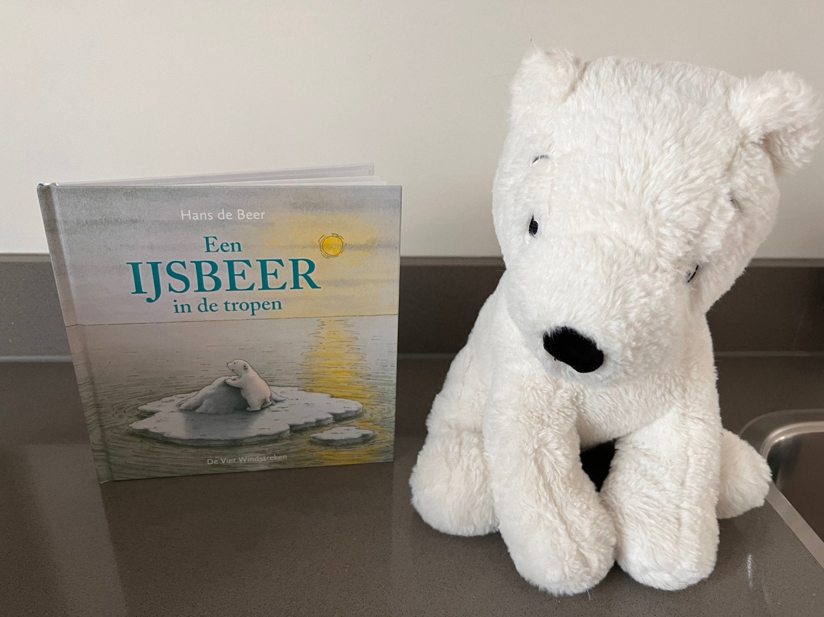 Een ijsbeer in de tropen - de kleine ijsbeer boek en knuffel, Ophalen of Verzenden, Zo goed als nieuw