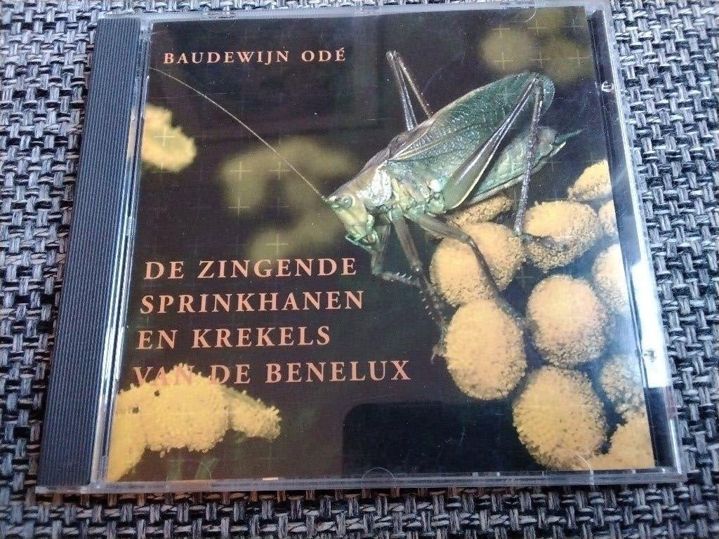 Boudewijn Odé   De zingende sprinkhanen en krekels CD  1997, Ophalen of Verzenden, Zo goed als nieuw