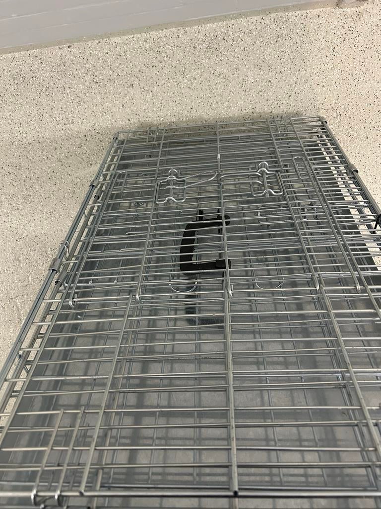 Te koop hond of katten Bench, Dieren en Toebehoren, Ophalen, Zo goed als nieuw
