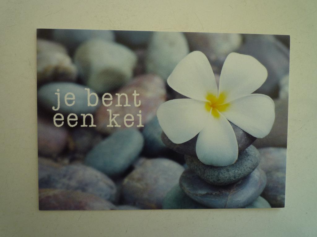 Kei met bloem en tekst je bent een kei, Ophalen of Verzenden, Voor 1920, Overige thema's