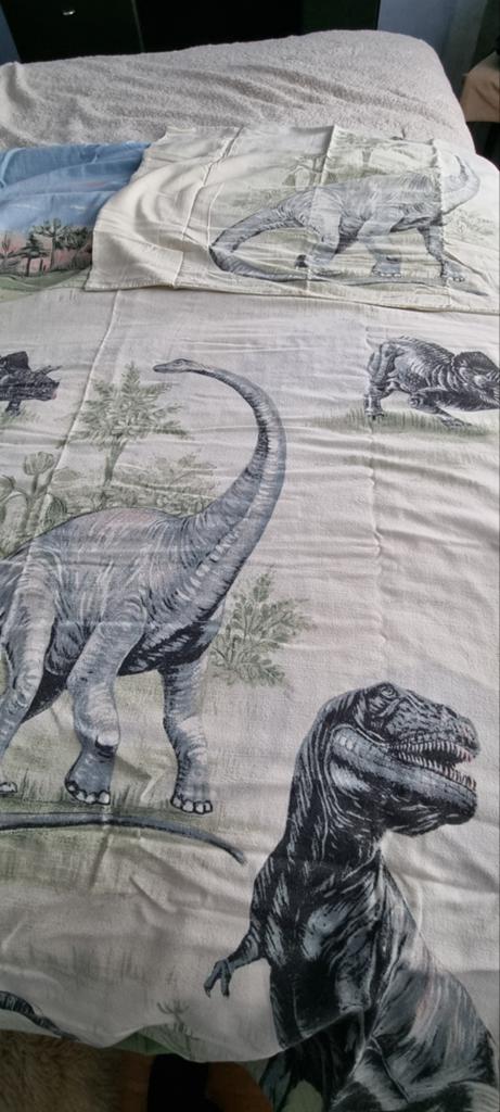 Eenpersoons dekbedovertrek met dinosaurus print, Dinosaurus, Kinderkamer, Gebruikt, 90 cm, Eenpersoons