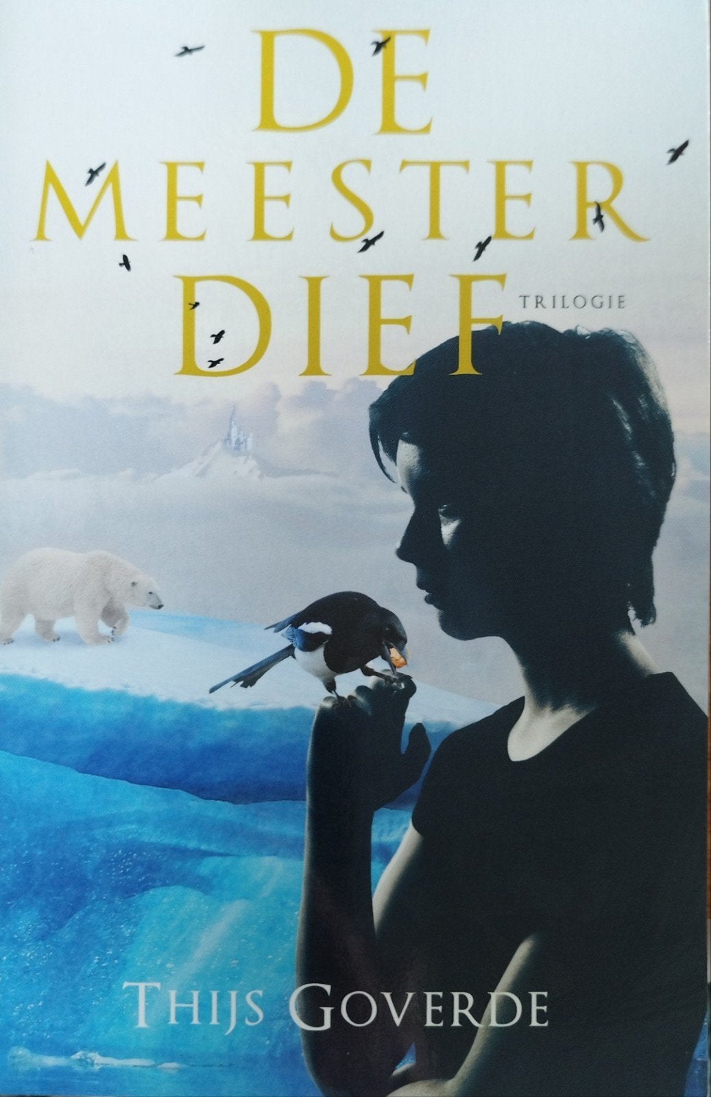 De Meesterdief Trilogie - Thijs Goverde, Boeken, Fantasy, Gelezen, Ophalen of Verzenden