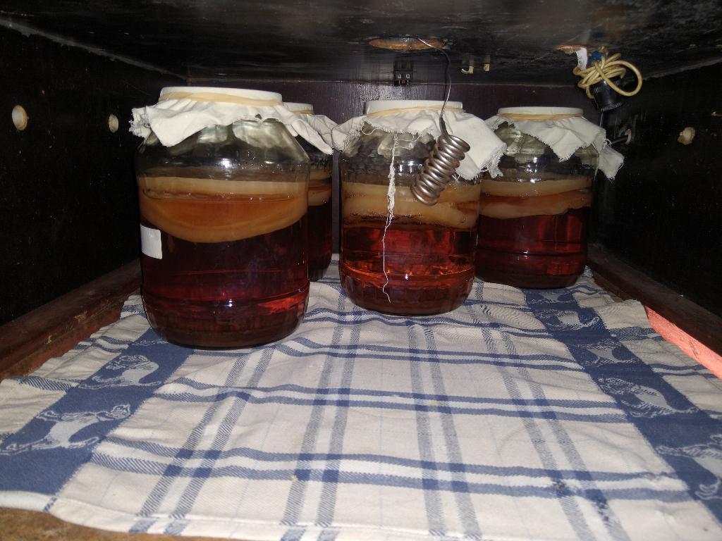 Kombucha productie kast, Ophalen
