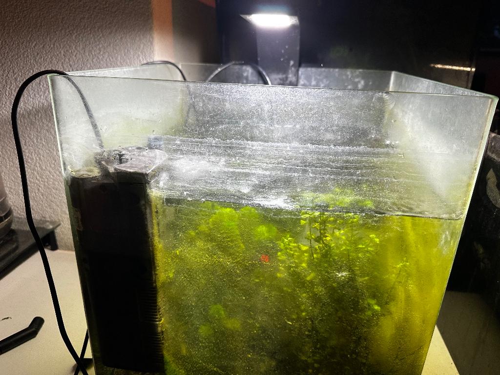 Dennerle nano cube 60 liter, Ophalen, Gebruikt, Leeg aquarium