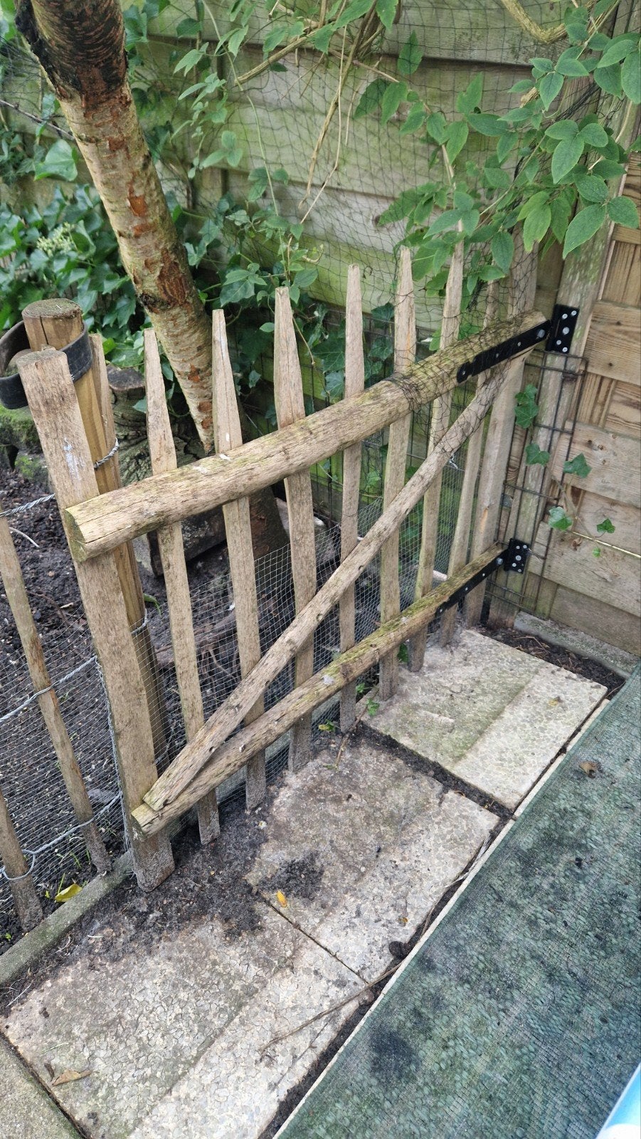 schapenhekje, Tuin en Terras, Ophalen, Hout, Minder dan 3 meter