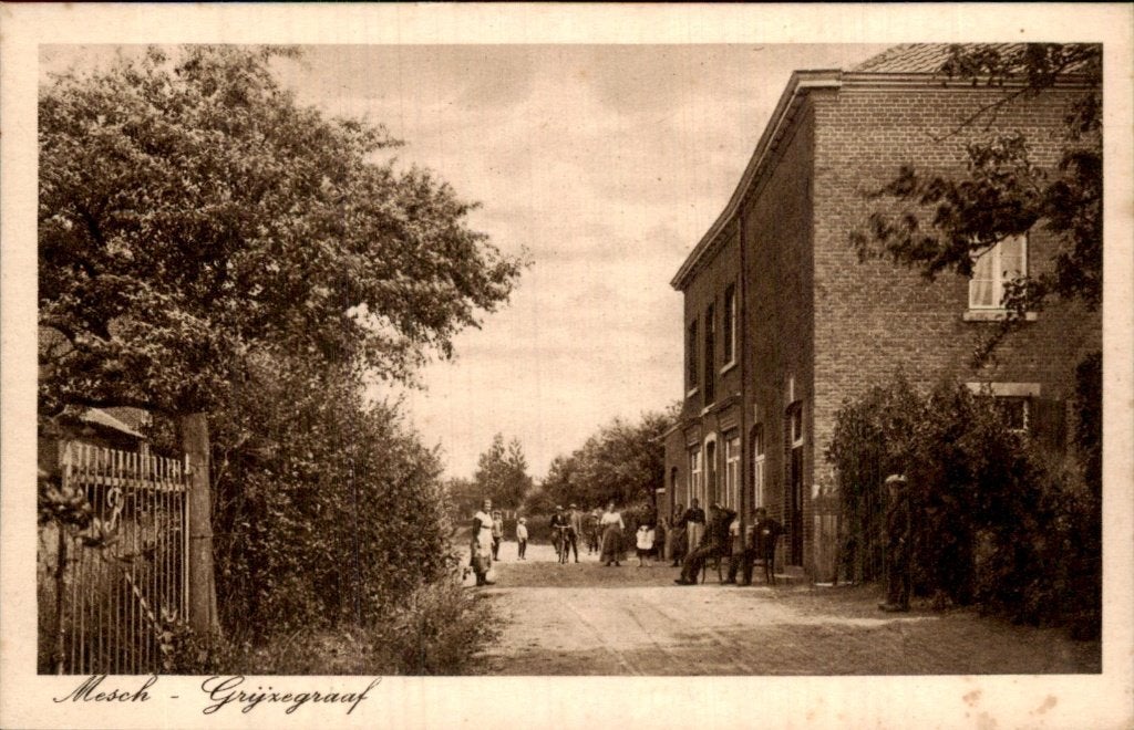 Mesch - Grijzegraaf - straatzicht, Ophalen of Verzenden, Voor 1920, Ongelopen, Limburg