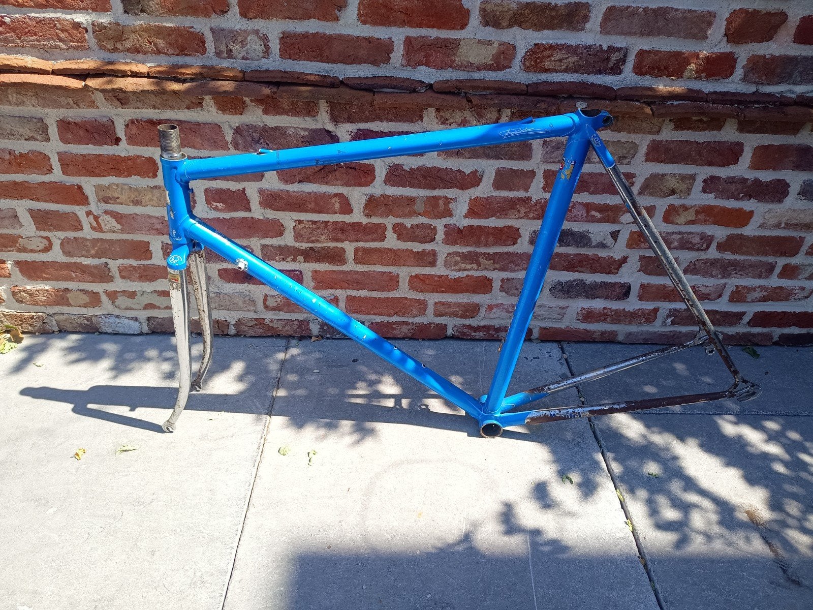 Pinarello frameset, Fietsen en Brommers, Fietsen | Racefietsen, Gebruikt, Carbon, Meer dan 20 versnellingen, 53 tot 57 cm
