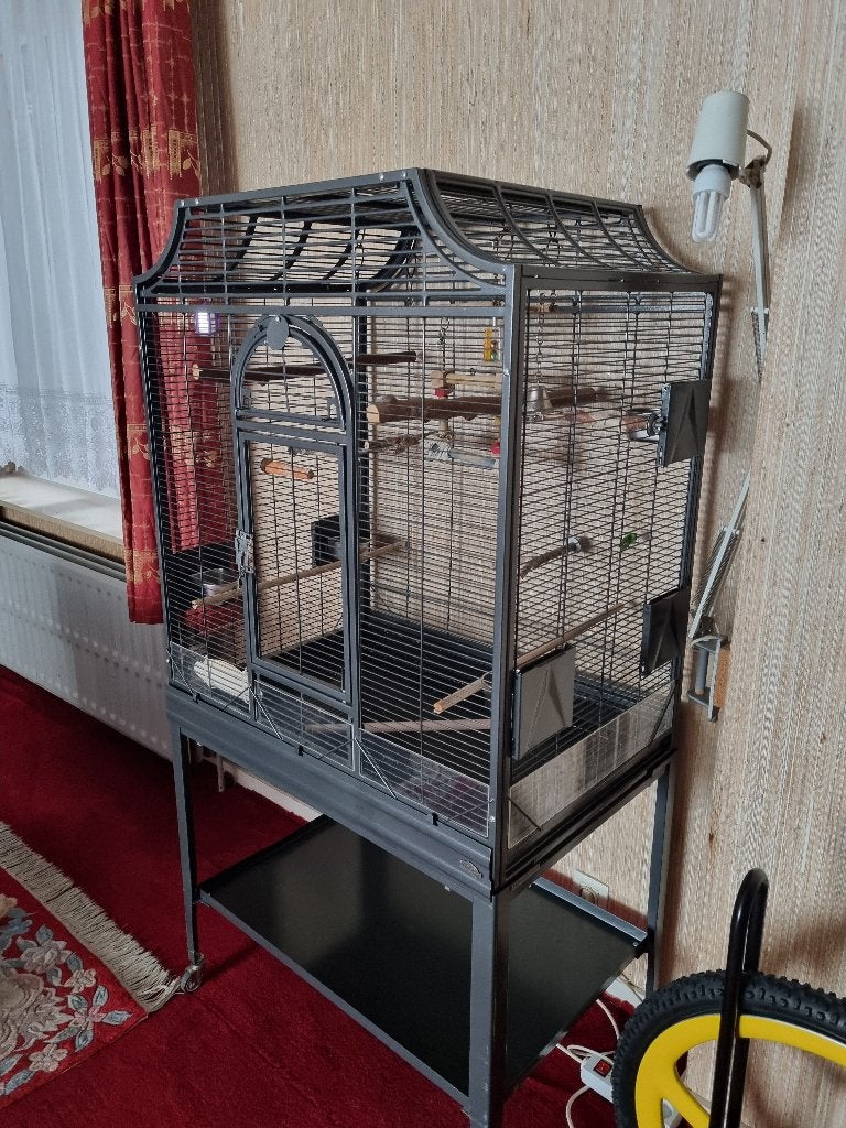 vogelkooi zgan, Ophalen, Zo goed als nieuw, Metaal, Vogelkooi