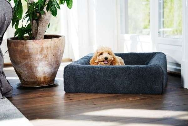 Bia Bed Hondenmanden & Matrassen – Stevig, & Comfortabel, Niet ingevuld, Verzenden, Niet ingevuld, Nieuw
