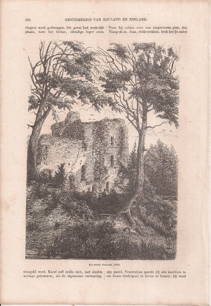 Het kasteel Brederode 1870 houtgravure E. Vermorcken, Antiek en Kunst, Gesigneerd, 1800 - 1899, Ophalen of Verzenden, Gravure