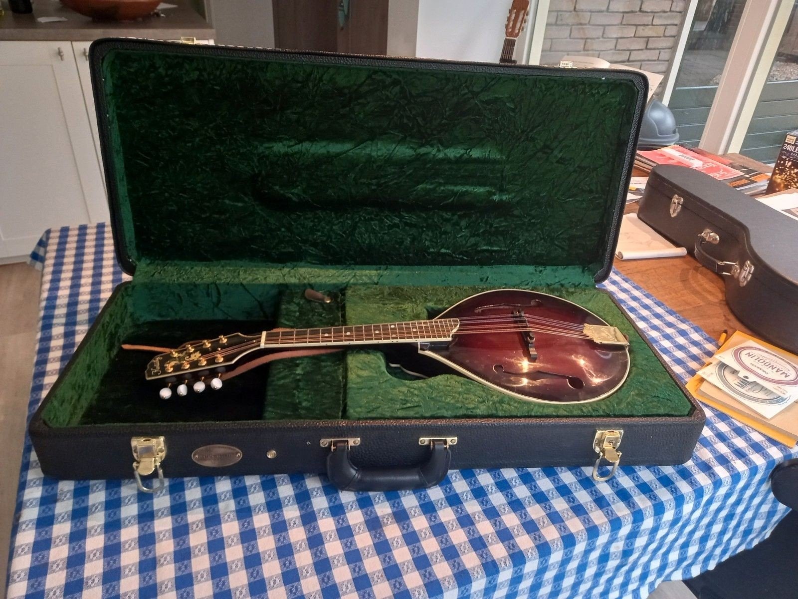 Te koop zeer mooie mandoline in luxe koffer, Muziek en Instrumenten, Snaarinstrumenten | Mandolines, Ophalen, Zo goed als nieuw