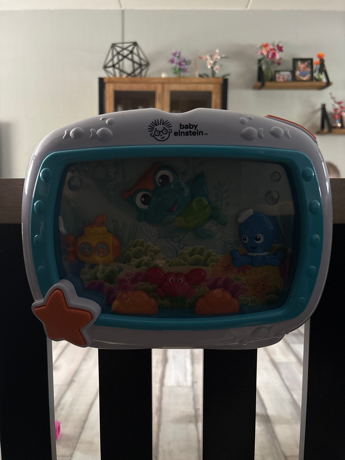 Baby Einstein Ocean Explorers Muzikale Aquarium, Kinderen en Baby's, Ophalen of Verzenden, Zo goed als nieuw, Overige typen, Met licht