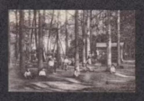 Rolde Drenthe Café Ottens Speeltuin., Ophalen of Verzenden, Voor 1920, Gelopen, Drenthe