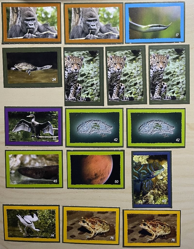 16 Dekamarkt Artis dierenstickers, Verzamelen, Dekamarkt, Ophalen